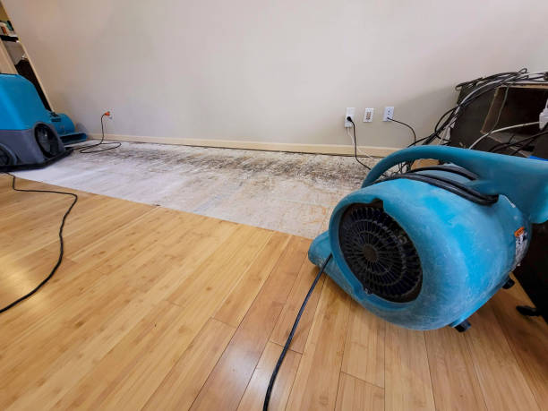 Professional Burst Pipe Water Damage technician working in Dover, DE